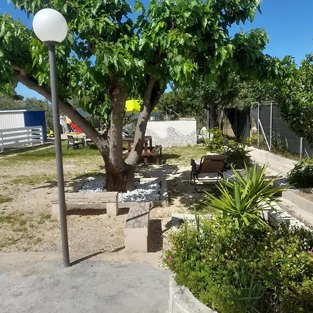 Elvira, Casa de Férias